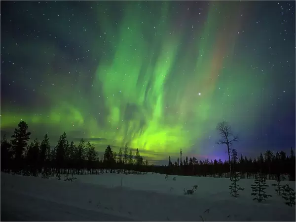 Abisko, Sweden. Chasing the Northern Lights (Aurora Borealis) in Swedish Lapland