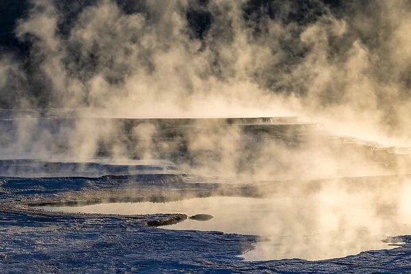 Canary Spring and steaming mist at sunrise, Mammoth Hot Springs, Yellowstone National Park, Wyoming