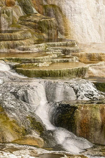 Canary Spring terraces at sunrise, Mammoth Hot Springs, Yellowstone National Park, Wyoming