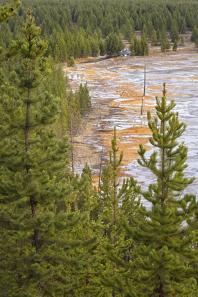 Elevated view of runoff water and bacterial mat, Grand Prismatic spring and colorful bacterial mat, Yellowstone National Park, Wyoming