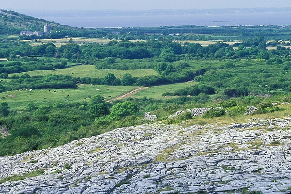 Europe, Ireland, County Clare. Ballyvaughan, The Burren