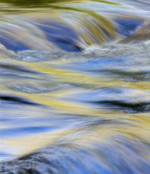 Flowing water and spring colors reflected on stream, Great Smoky Mountains National Park