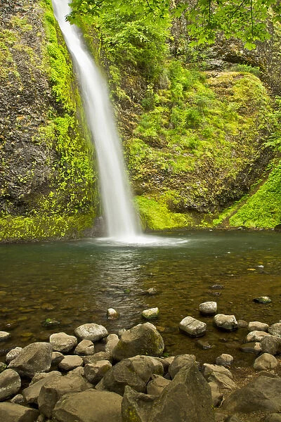 Horsetail Falls, Columbia Gorge, Oregon, USA, waterfall, scenic, landscape, nobody