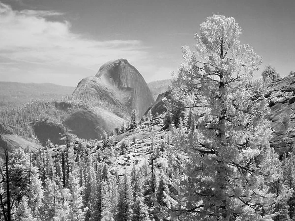 Infrared photo in East side of Yosemite National Park, California