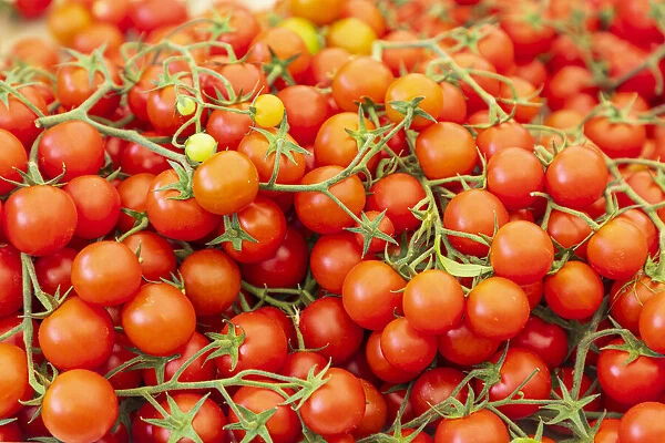 Italy, Apulia, Metropolitan City of Bari, Locorotondo. Tomatoes for sale in an outdoor