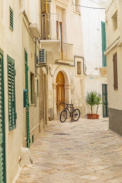 Italy, Apulia, Metropolitan City of Bari, Monopoli. Narrow street between buildings