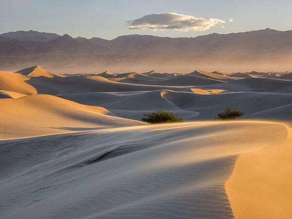 USA, California. Death Valley National Park, Mesquite Flat Sand Dunes