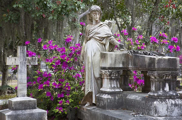 USA, Georgia, Savannah, Bonaventure Cemetery in the spring with azaleas in bloom