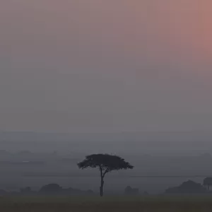 Africa, Tanzania, Ngorongoro Conservation Area