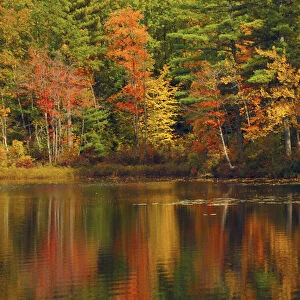 Autumn Reflections, Trickey Pond, Naples, Maine, USA