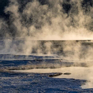 Canary Spring and steaming mist at sunrise, Mammoth Hot Springs, Yellowstone National Park, Wyoming