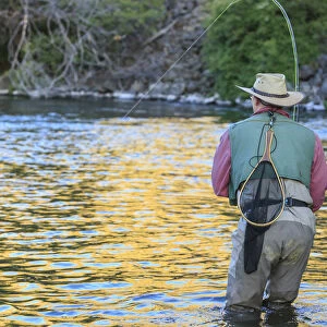 People fly fishing, Lower Deschutes River, Central Oregon, USA (MR)
