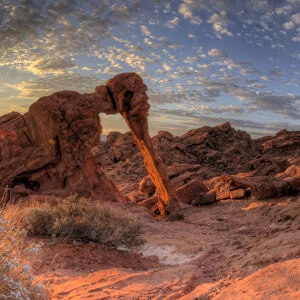 USA, Nevada, Clark County. Valley of Fire State Park. Elephant Rock