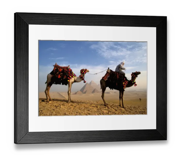 Framed Print : Africa, Egypt, Cairo, Giza. Camel and guide with Great Pyramids in background Framed Print : Africa, Egypt, Cairo, Giza. Camel and guide with Great Pyramids in background