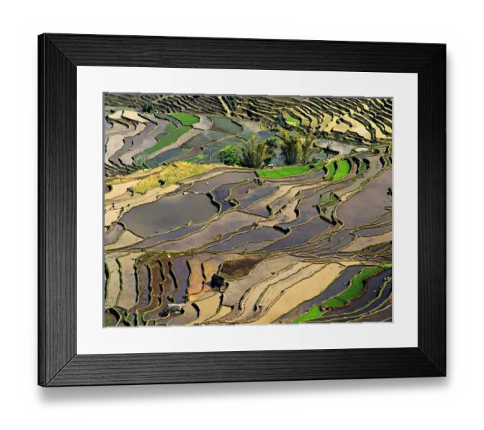 Framed Print : Asia, China, Yunnan, Honghe. Rice Terraces near Leuy Villge