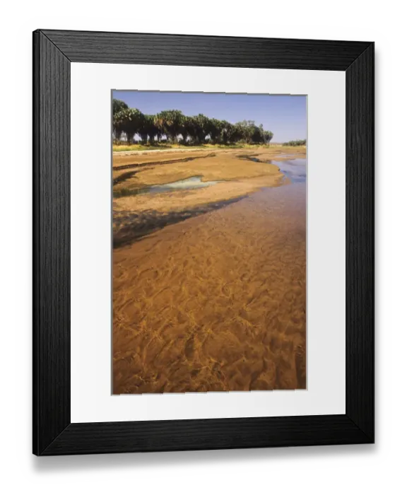 Framed Print : Kenya: Buffalo Springs National Reserve Framed Print : Kenya: Buffalo Springs National Reserve