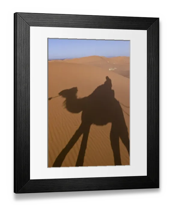 Framed Print : 01. Camel Trekking, Morocco Framed Print : 01. Camel Trekking, Morocco