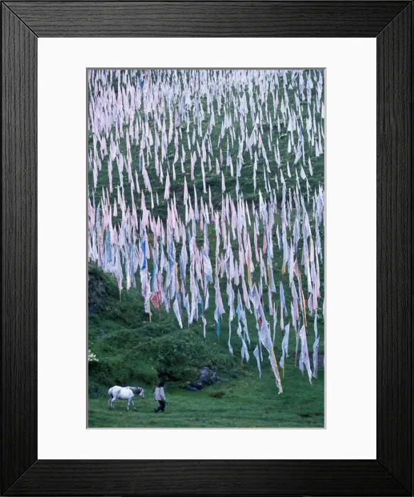 Framed Print : Man with horse in front of prayer flags Framed Print : Man with horse in front of prayer flags