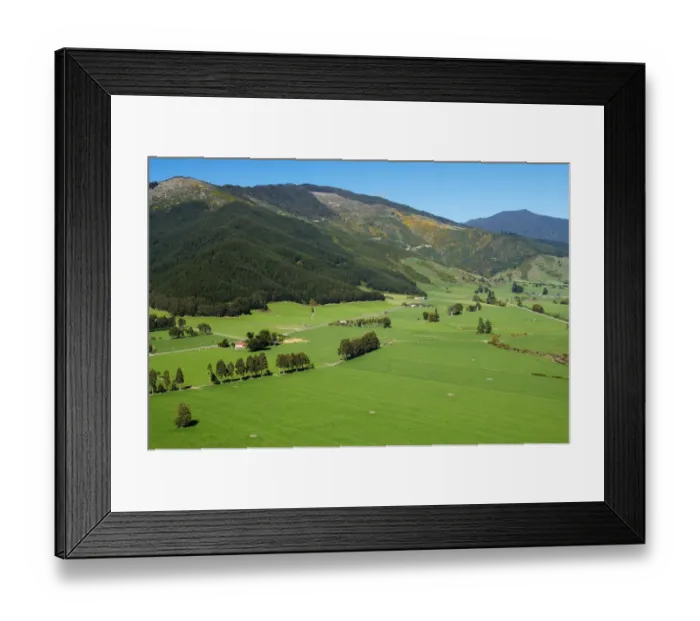 Framed Print : Farmland near Linkwater, Marlborough Sounds, South Island, New Zealand - aerial Framed Print : Farmland near Linkwater, Marlborough Sounds, South Island, New Zealand - aerial