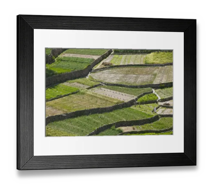 Framed Print : Oman, Western Hajar Mountains, Balad Seet. Village of Balad Seet Garden Oasis Framed Print : Oman, Western Hajar Mountains, Balad Seet. Village of Balad Seet Garden Oasis