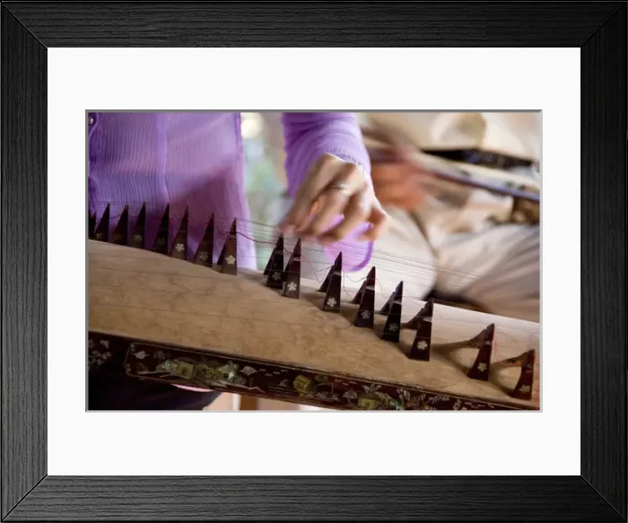 Framed Print : Asia, Vietnam, Ho Chi Minh City (aka Saigon). Thoi Son Island, Mekong River delta