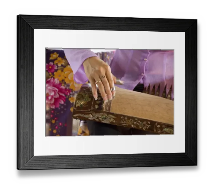 Framed Print : Asia, Vietnam, Ho Chi Minh City (aka Saigon). Thoi Son Island, Mekong River delta Framed Print : Asia, Vietnam, Ho Chi Minh City (aka Saigon). Thoi Son Island, Mekong River delta