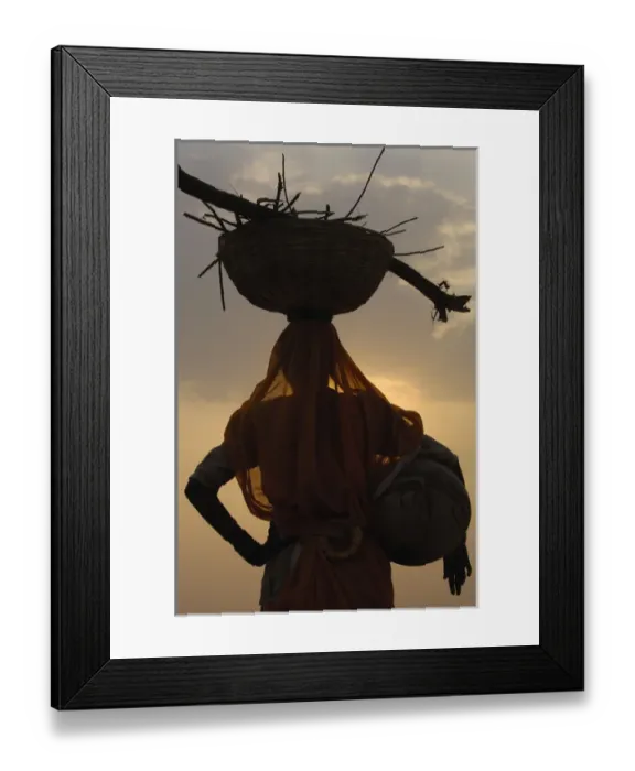 Framed Print : Woman collecting dung. Camel and cow dung are collected and dried to be used for cooking fires Framed Print : Woman collecting dung. Camel and cow dung are collected and dried to be used for cooking fires