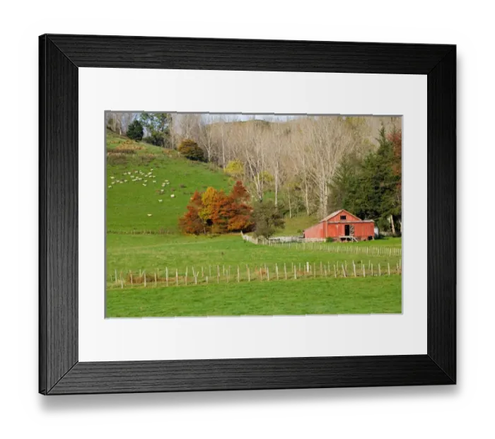 Framed Print : Wool Shed and Farmland, Kawhatau Valley, Rangitikei, North Island, New Zealand Framed Print : Wool Shed and Farmland, Kawhatau Valley, Rangitikei, North Island, New Zealand