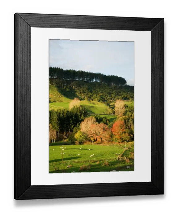 Framed Print : Autumn Colours and Farmland near Te Kuiti, King Country, North Island, New Zealand