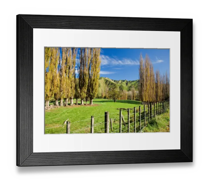 Framed Print : Autumn Colour and Farmland, Wanganui - Raetihi Road, North Island, New Zealand Framed Print : Autumn Colour and Farmland, Wanganui - Raetihi Road, North Island, New Zealand