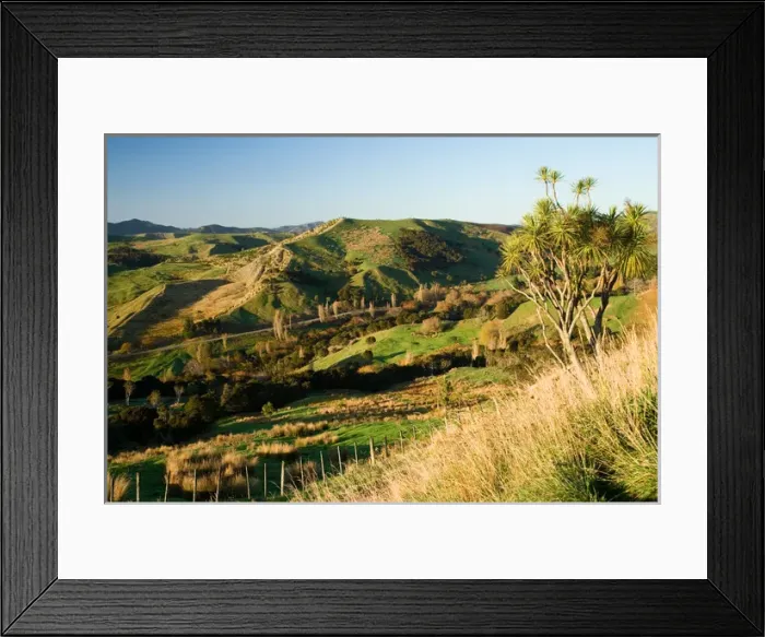 Framed Print : Farmland near Martinborough, Wairarapa, North Island, New Zealand Framed Print : Farmland near Martinborough, Wairarapa, North Island, New Zealand