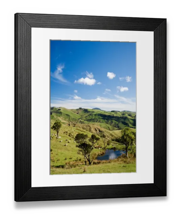 Framed Print : Farmland near Martinborough, Wairarapa, North Island, New Zealand