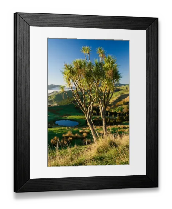 Framed Print : Farmland near Martinborough, Wairarapa, North Island, New Zealand