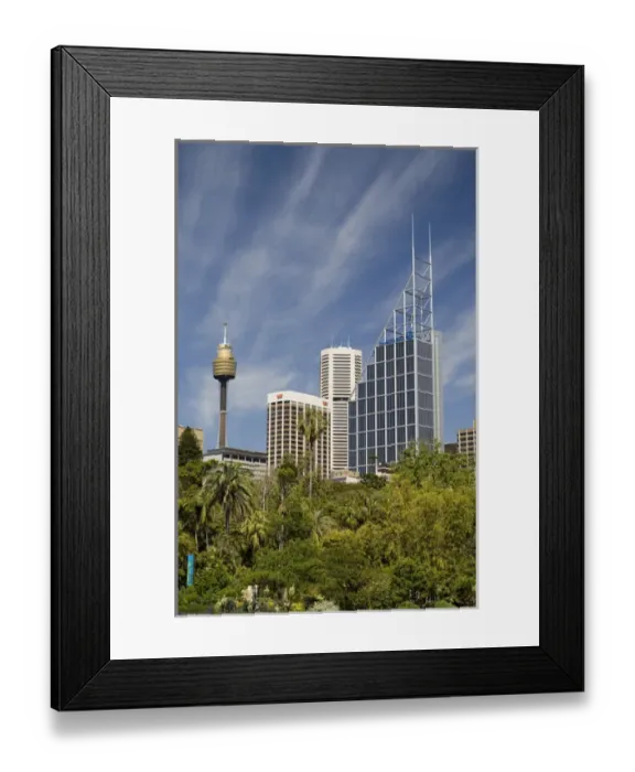 Framed Print : Royal Botanic Gardens, Sydney, New South Wales, Australia Framed Print : Royal Botanic Gardens, Sydney, New South Wales, Australia