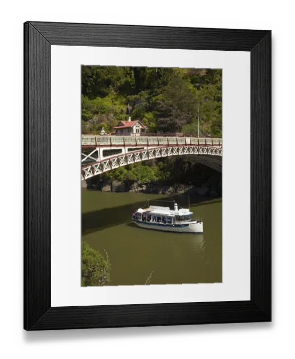 Framed Print : Lady Launceston Tour Boat, and Historic Kings Bridge (1864 ), Cataract Gorge