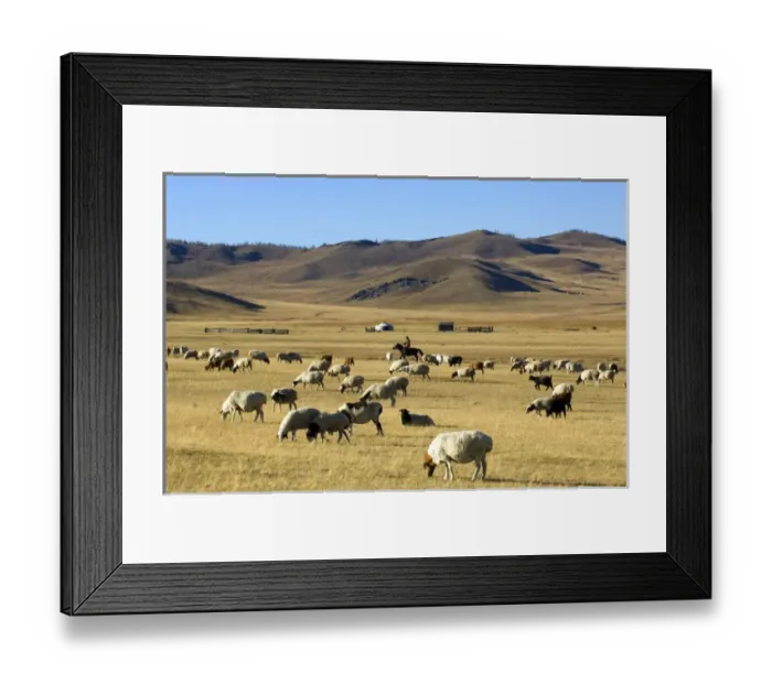 Framed Print : Nomads herding cattle Framed Print : Nomads herding cattle