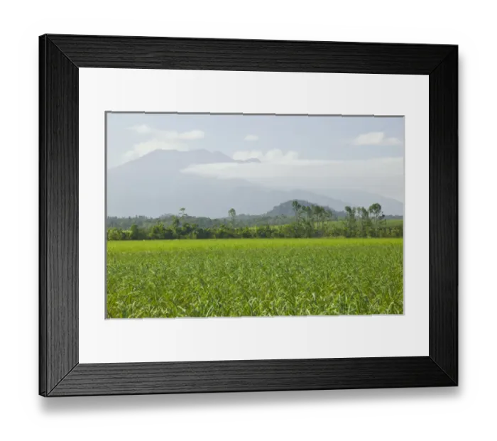 Framed Print : AUSTRALIA, Queensland, North Coast, Babinda. Distant View of Bartle Frere, Queensland s Framed Print : AUSTRALIA, Queensland, North Coast, Babinda. Distant View of Bartle Frere, Queensland s