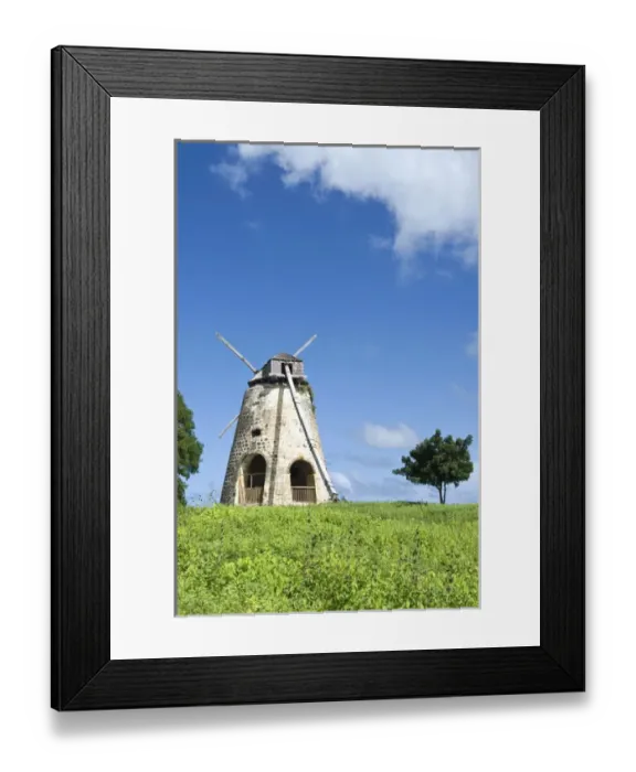 Framed Print : Bettys Hope windmill, Antigua, West Indies, Caribbean, Central America Framed Print : Bettys Hope windmill, Antigua, West Indies, Caribbean, Central America