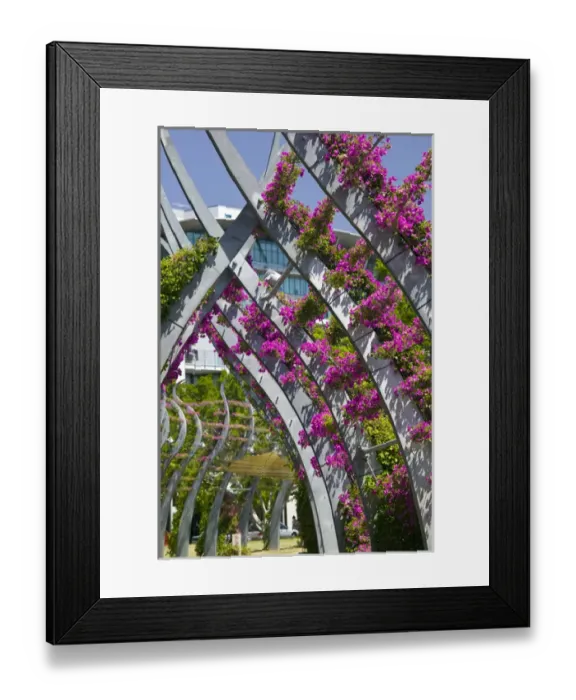 Framed Print : AUSTRALIA, State of Queensland, Brisbane. Southbank District Framed Print : AUSTRALIA, State of Queensland, Brisbane. Southbank District