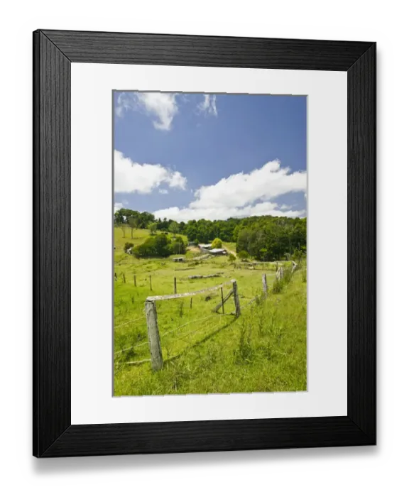 Framed Print : AUSTRALIA, Queensland, Whitsunday Coast, Pioneer Valley, Eungella. View of Cattle Ranch Framed Print : AUSTRALIA, Queensland, Whitsunday Coast, Pioneer Valley, Eungella. View of Cattle Ranch