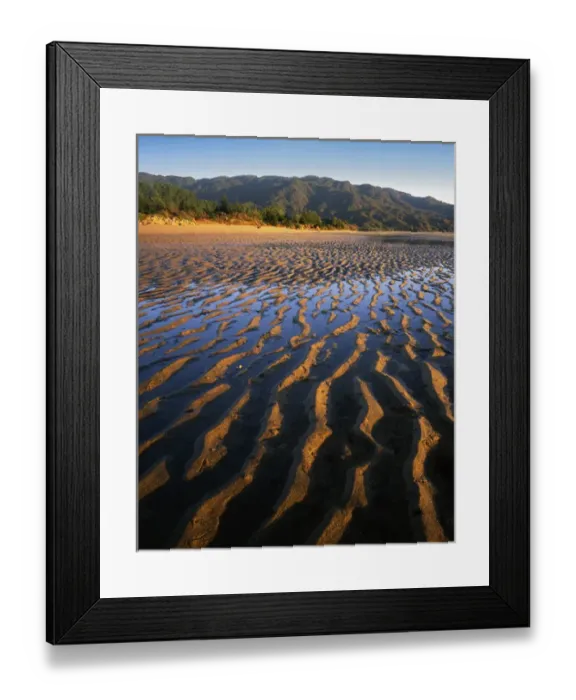 Framed Print : New Zealand, Abel Tasman National Park, Coast Framed Print : New Zealand, Abel Tasman National Park, Coast