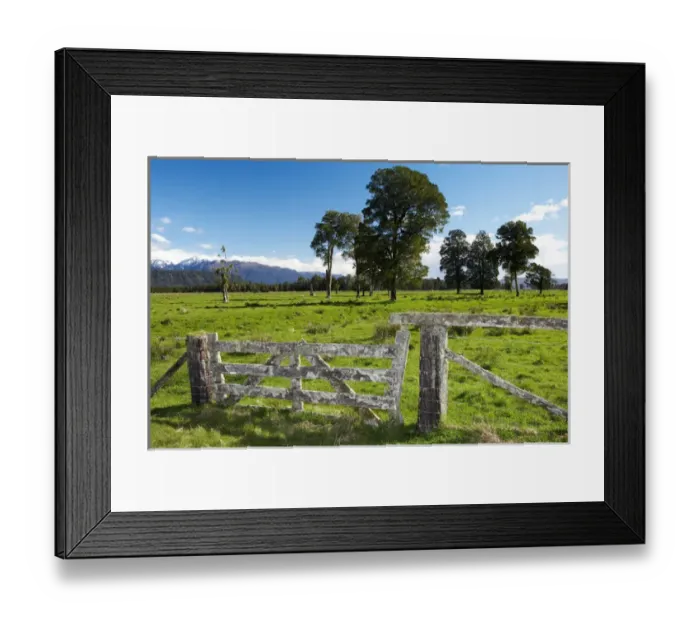 Framed Print : Gate and Farmland near Fox Glacier, West Coast, South Island, New Zealand Framed Print : Gate and Farmland near Fox Glacier, West Coast, South Island, New Zealand