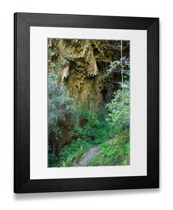 Framed Print : Track entrance to Fox RiverCave, Paparoa National Park, West Coast, South Island Framed Print : Track entrance to Fox RiverCave, Paparoa National Park, West Coast, South Island