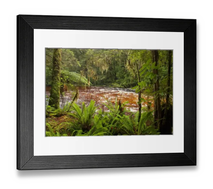 Framed Print : Oparara River and Native Bush, Oparara Basin, near Karamea, Kahurangi National Park Framed Print : Oparara River and Native Bush, Oparara Basin, near Karamea, Kahurangi National Park