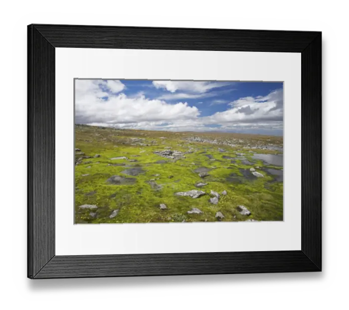 Framed Print : High Altitude Wetland, Old Woman Conservation Area, Central Otago, South Island Framed Print : High Altitude Wetland, Old Woman Conservation Area, Central Otago, South Island