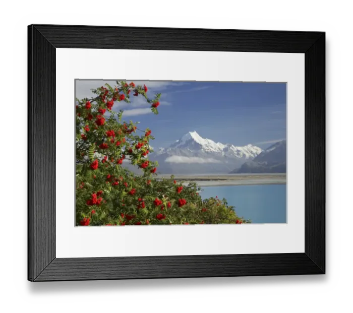 Framed Print : Aoraki / Mt Cook, and Lake Pukaki, Canterbury, South Island, New Zealand Framed Print : Aoraki / Mt Cook, and Lake Pukaki, Canterbury, South Island, New Zealand