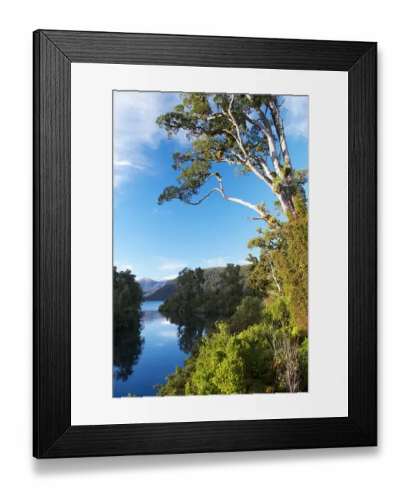 Framed Print : Moeraki River by Lake Moeraki, West Coast, South Island, New Zealand