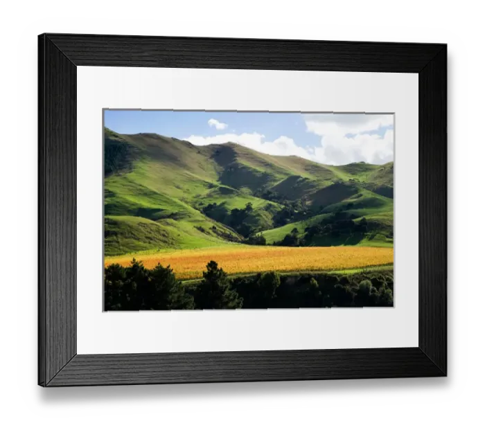 Framed Print : Springrock Vineyard, Te Kairanga, near Martinborough, Wairarapa, North Island, New Framed Print : Springrock Vineyard, Te Kairanga, near Martinborough, Wairarapa, North Island, New