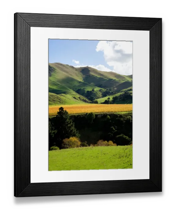 Framed Print : Springrock Vineyard, Te Kairanga, near Martinborough, Wairarapa, North Island, New