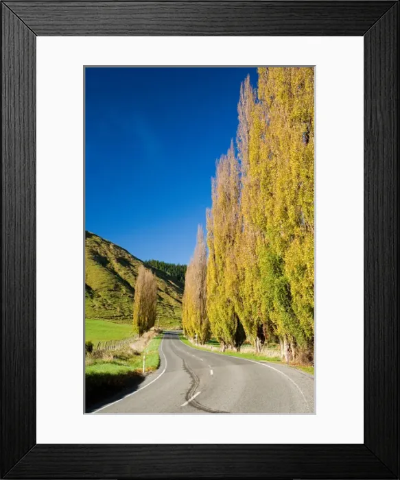 Framed Print : Autumn Colour and Wanganui - Raetihi Road, near Wanganui, North Island, New Zealand Framed Print : Autumn Colour and Wanganui - Raetihi Road, near Wanganui, North Island, New Zealand